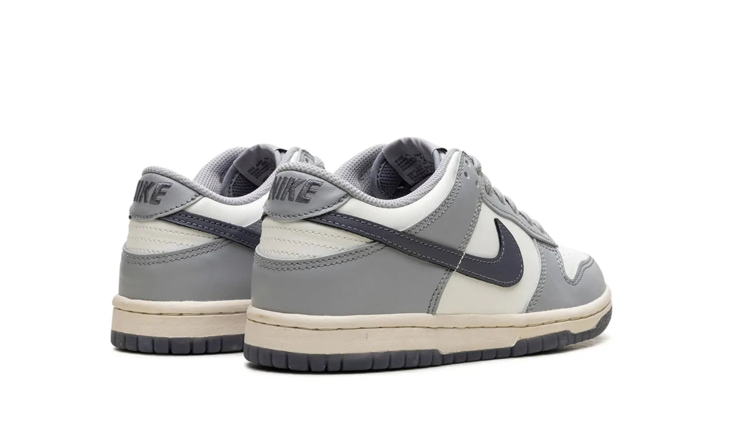Nike Dunk Low Platinum Tint Light Carbon (GS)