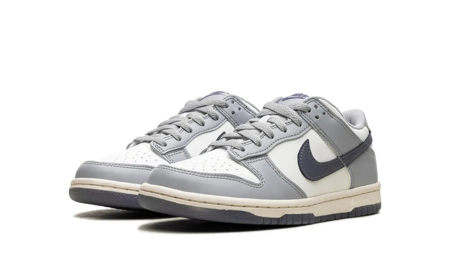 Nike Dunk Low Platinum Tint Light Carbon (GS)