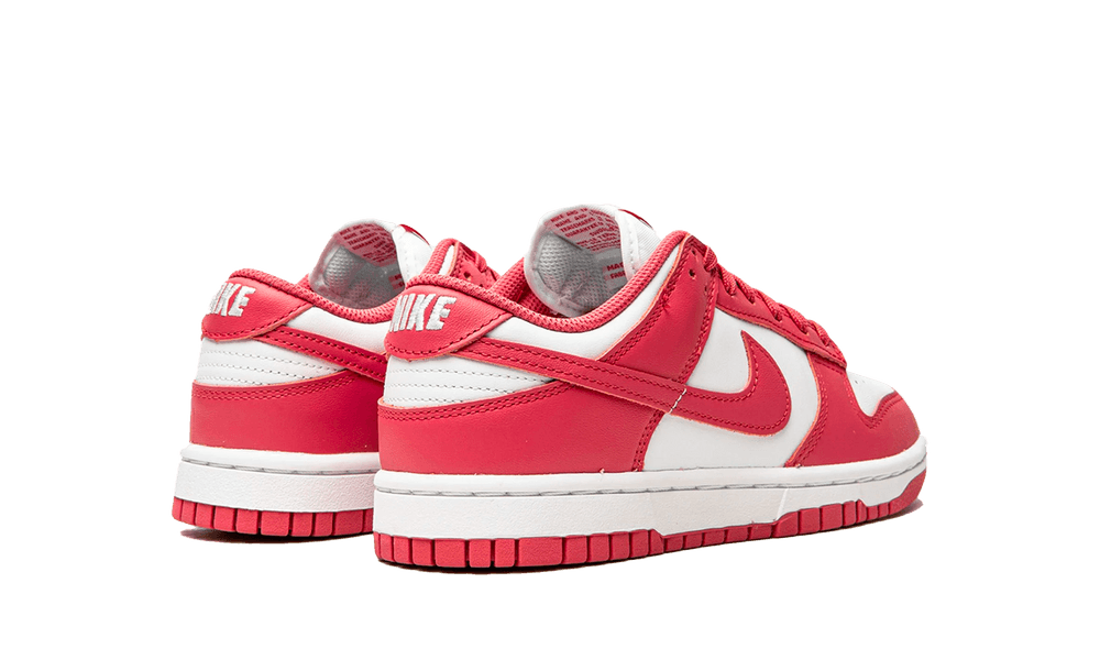 Nike Dunk Low Archeo Pink (W)