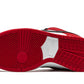 Nike SB Dunk Low Pro J-Pack Chicago