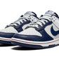 Nike Dunk Low NBA Brooklyn Nets