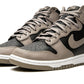 Nike Dunk High Moon Fossil (W)