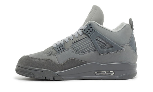 Air Jordan 4 SE Paris Olympics Wet Cement