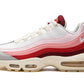 Nike Air Max 95 Anatomy of Air