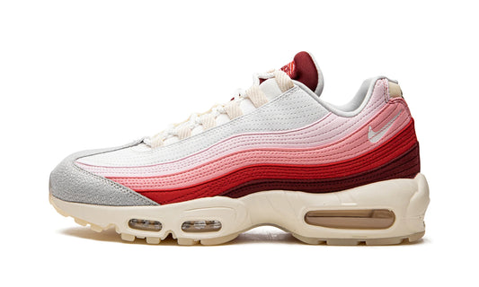 Nike Air Max 95 Anatomy of Air