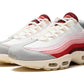 Nike Air Max 95 Anatomy of Air