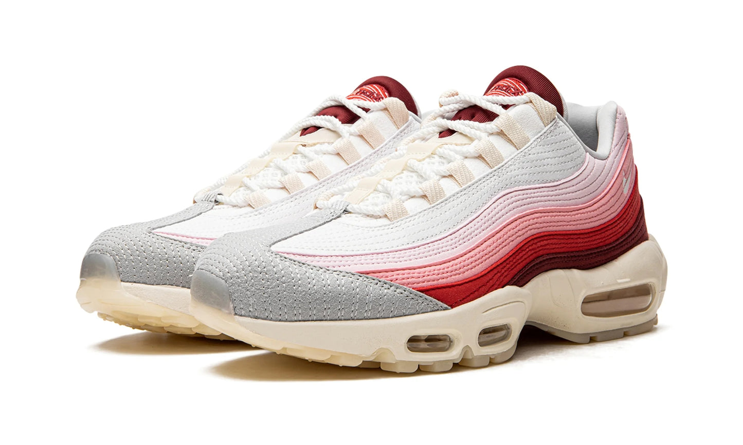 Nike Air Max 95 Anatomy of Air