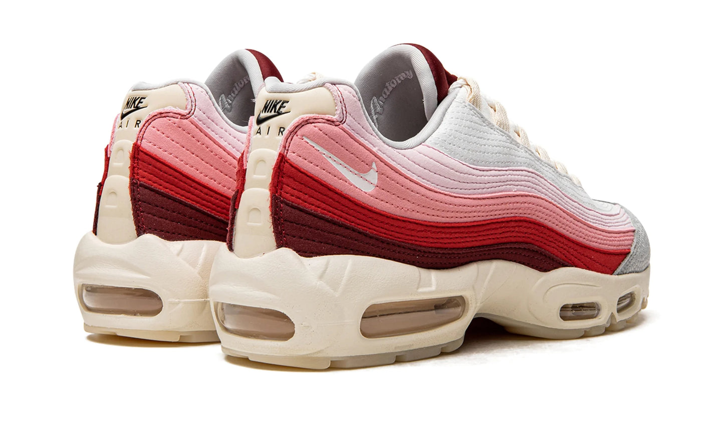 Nike Air Max 95 Anatomy of Air