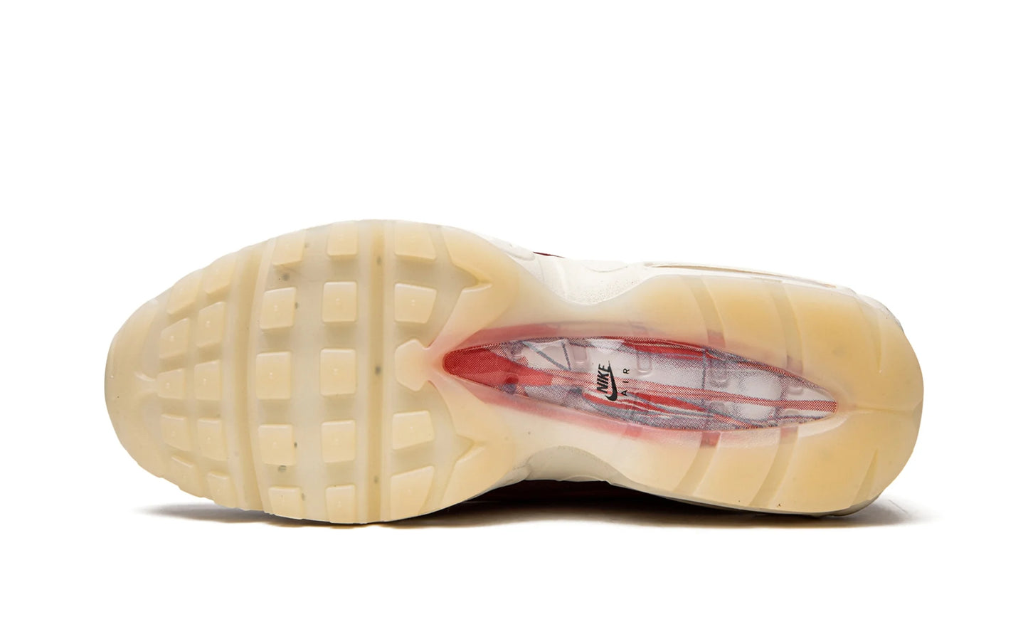 Nike Air Max 95 Anatomy of Air