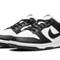 Nike Dunk Low Next Nature Black White (W)