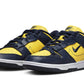 Nike Dunk Low Disrupt 2 Michigan (W)